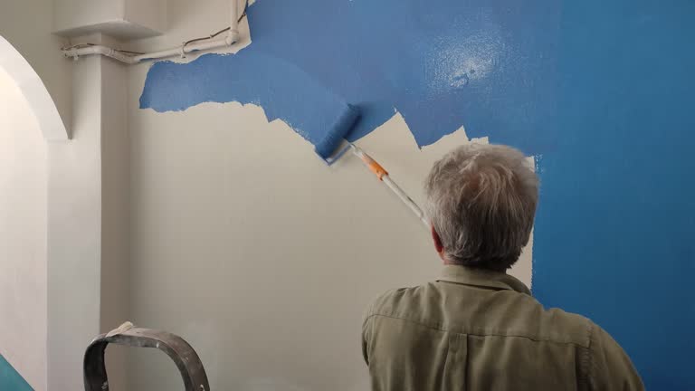 Best Drywall Removal and Disposal  in Niwot, CO